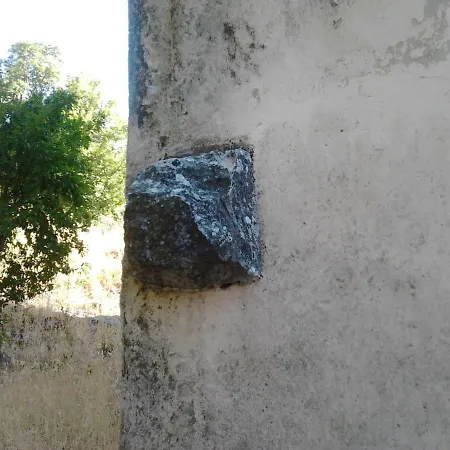 Canis Aureus بيت ضيافة