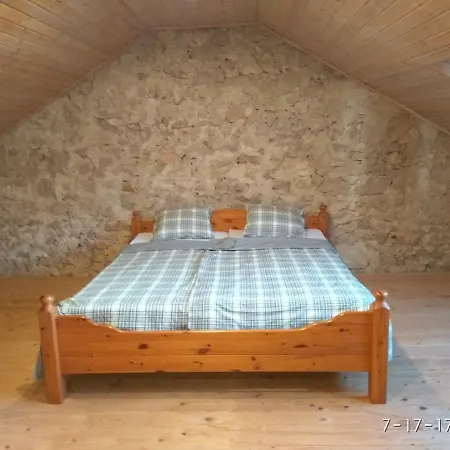 Canis Aureus Guest house 2*
