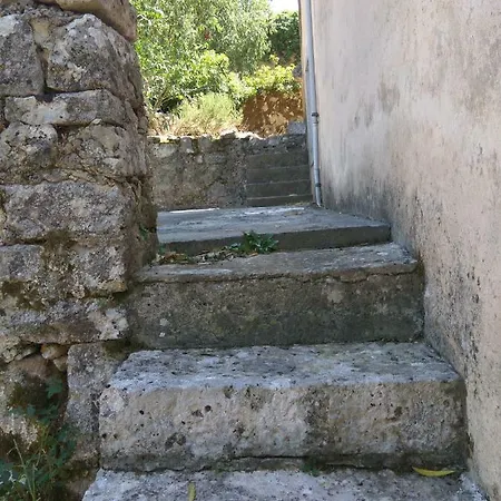 Canis Aureus Guest house