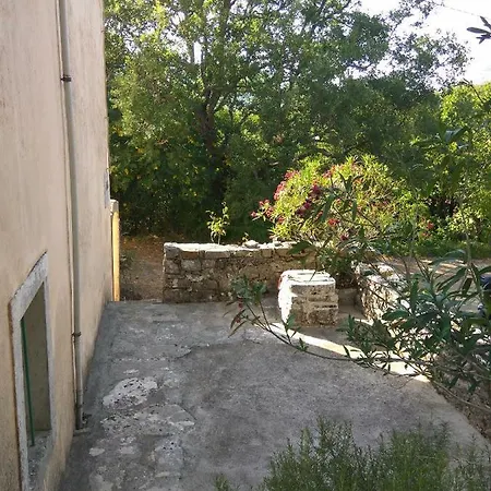 Canis Aureus Guest house