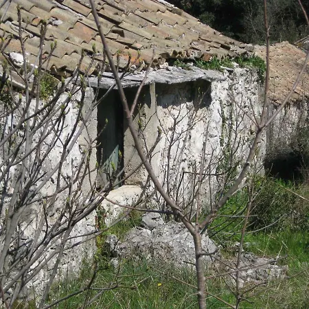 Canis Aureus Oskorusno