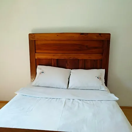 Guest house Canis Aureus 2*