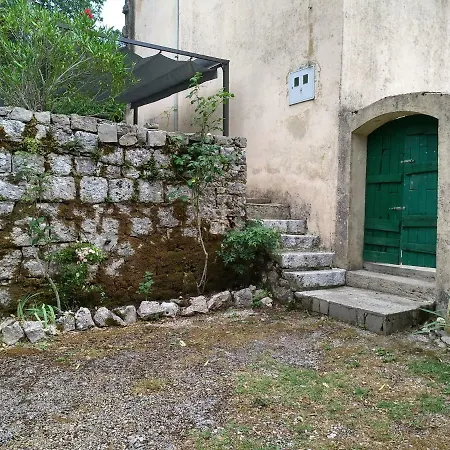 Canis Aureus Guest house